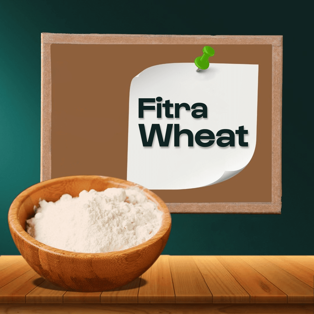 Fitra wheat