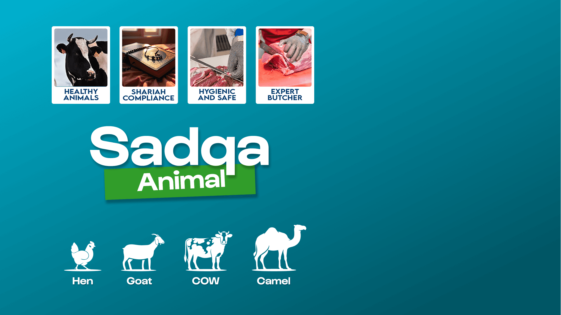 sadqa animal