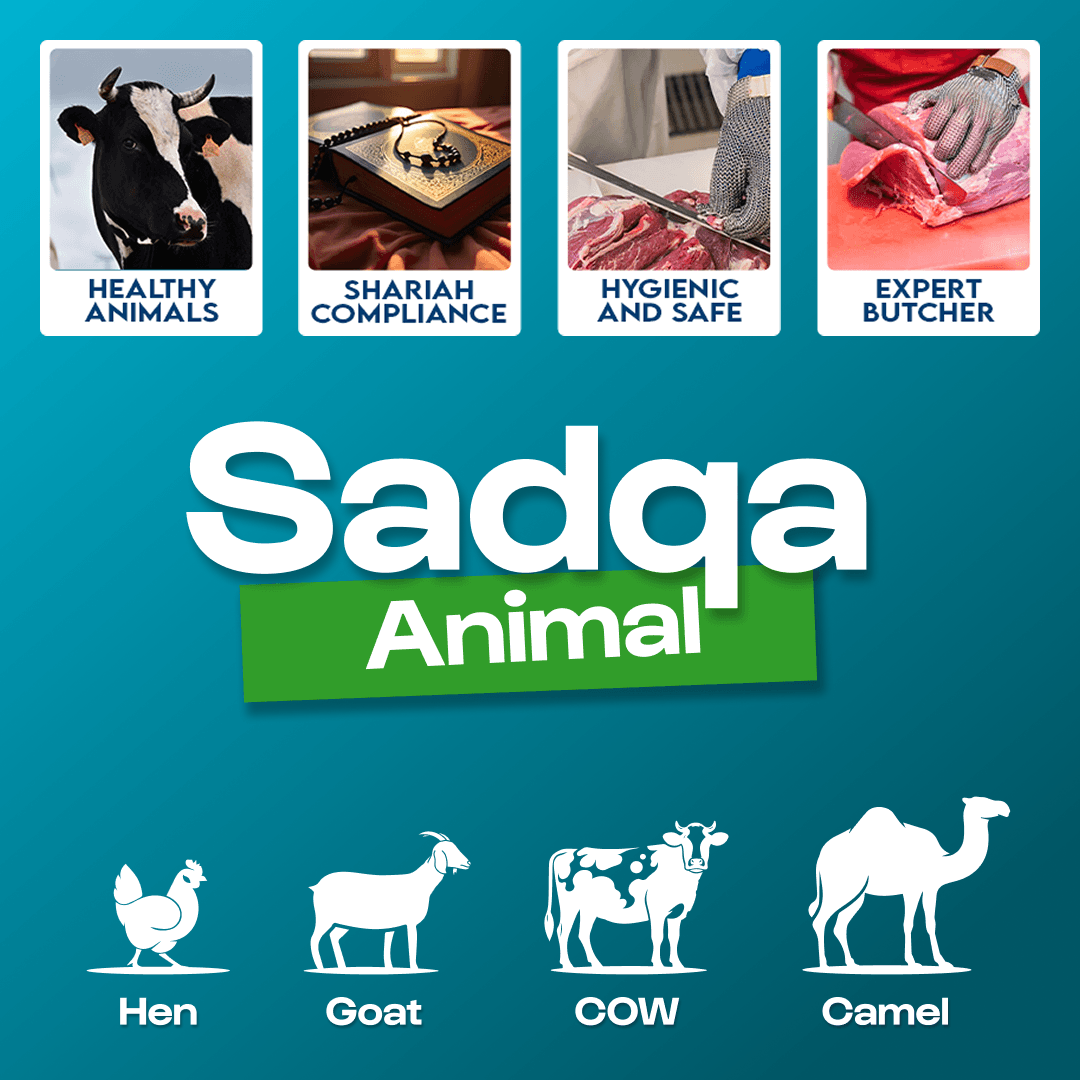 sadqa animal