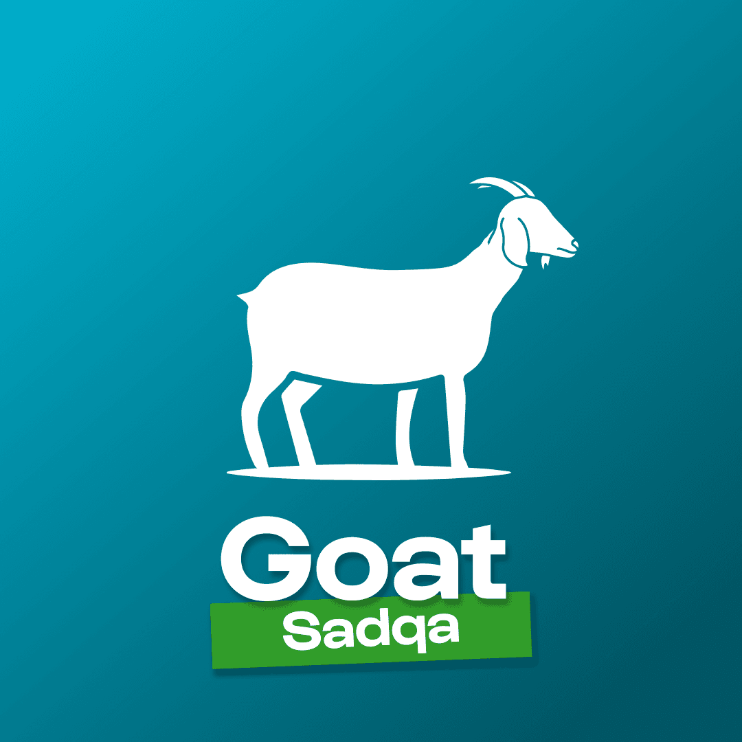 sadqa goat